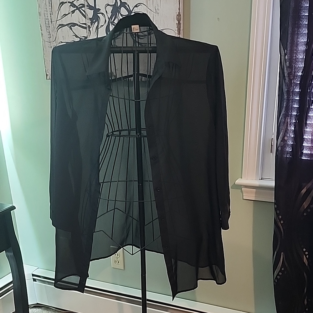Chic Black Sheer Blouse